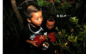 森岡 坂本 品原