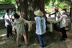 新入社員お遍路研修2013